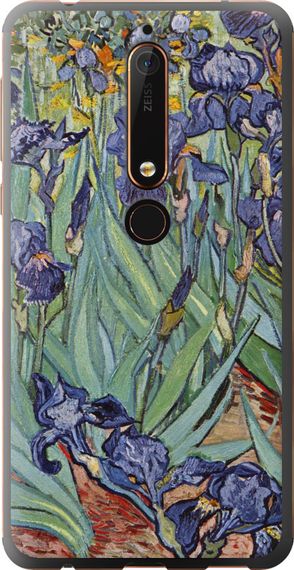 Чехол на Nokia 6 2018 Винсент Ван Гог. Ирисы "161u-1386-17620"