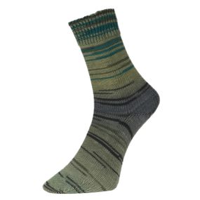 Шкарпеткова пряжа Pro Lana Golden Socks Blausee, 07