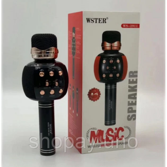 Бездротовий караоке мікрофон з динаміком 5 тембрів USB AUX FM Wster WS-2911 | Зображення 3
