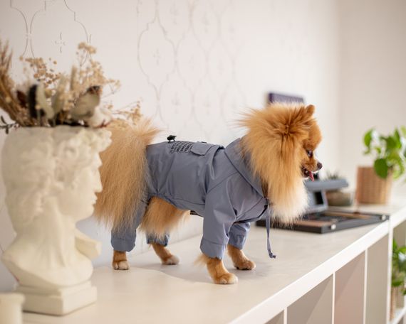 Дощовик DB кишеня блакитний M-66 | Зображення 1