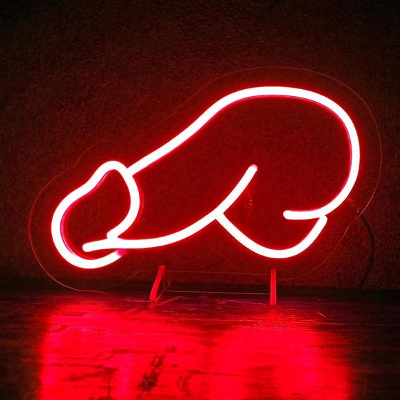 Неоновий світильник Пеніс big 500х300 acr-n000107 | Зображення 2