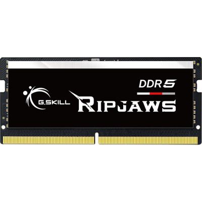 Модуль памяти для ноутбука SoDIMM DDR5 16GB 5600 MHz G.Skill (F5-5600S4040A16GX1-RS) (F5-5600S4040A16GX1-RS)