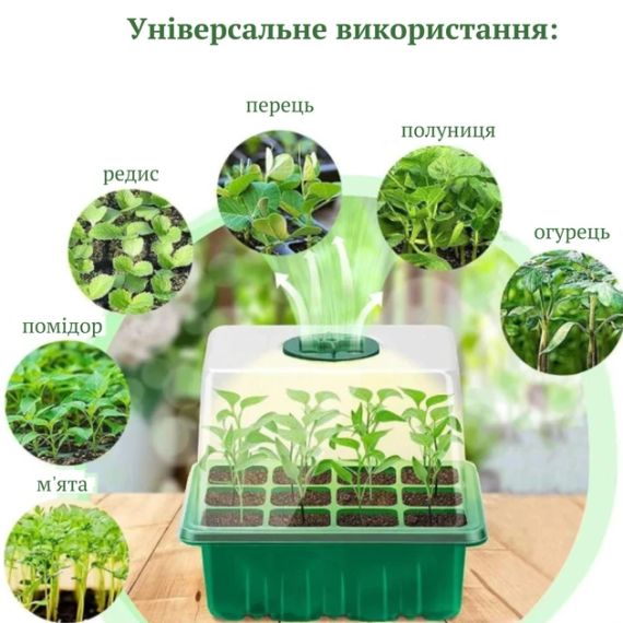 Мінішатник для вирощування насіння розсади з регулюванням вологості | Зображення 3