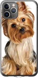 Чохол для Apple iPhone 11 Pro з пластику FCh_075692