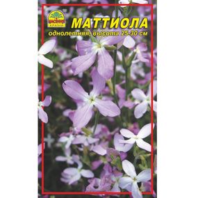 Насіння Матіола нічна фіалка 0,5 г