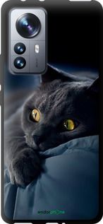 Чохол на Xiaomi 12 Pro Димчастий кіт "825b-2560-2448"