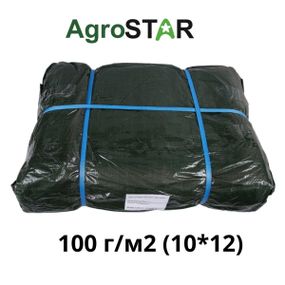 Тент універсальний"AgroStar" 100(10*12)зел