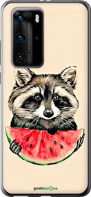 Чохол на Huawei P40 Pro Єнотик з кавуном "4605u-1839-2448"