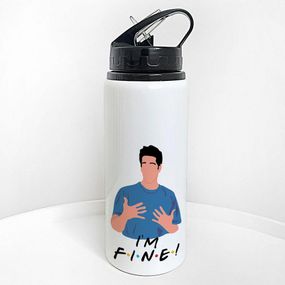 Пляшка для води з трубочкою I'm fine (Друзі) 600 мл (PLV_25A027)