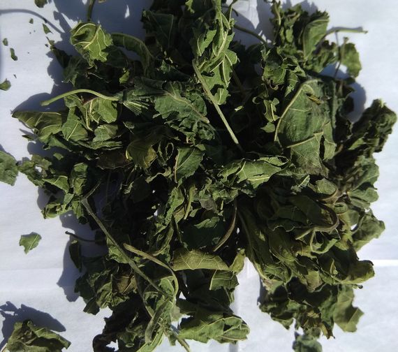 Шовковиця (лист), 100г.