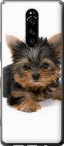 Чехол на Sony Xperia XZ4 Щенок йоркширского терьера "931u-1623-17620"