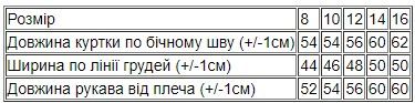 Куртка для хлопчика (підліткова) демісезон Носи своє 140 Синій (p-15408-176417) | Зображення 5