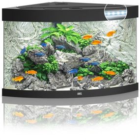 Аквариум Juwel Trigon 190 LED 99x60x70 см 190 л угловой (черный) (4022573163506)