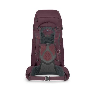 Рюкзак туристический Osprey Kyte 68 elderberry purple WM/L (009.3320) | Зображення 5