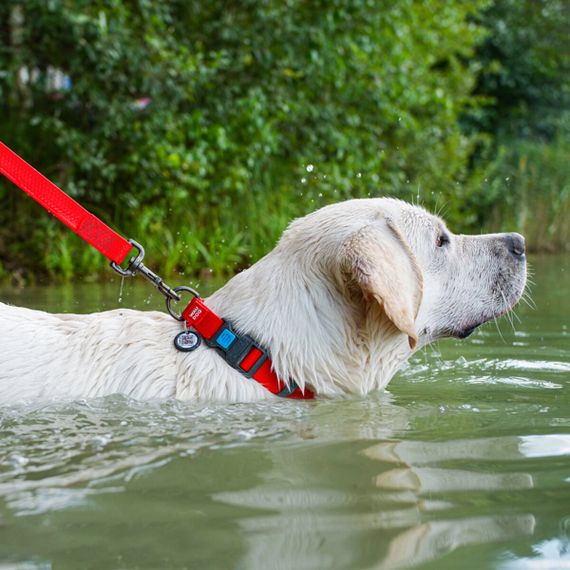 Нашийник для собак водостійкий WAUDOG Waterproof c QR паспортом, пластикова пряжка-фастекс, Ширина 25 мм, Довжина 38-58 см, червоний | Зображення 3
