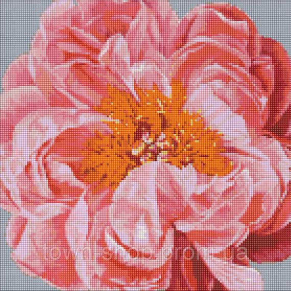 Алмазная мозаика "Pink kiss" ©Ira Volkova Идейка AMO7079 40х40 см