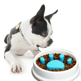 Миска для повільного годування Paw Perfect для здоров'я й комфорту вихованця знижка