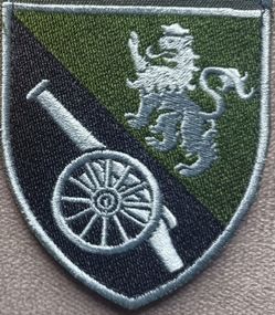 Шеврон 45 ОАБр (зеленый без надписи)