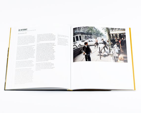 Книга про уличную фотографию Street Photography: A History in 100 Iconic Images: David Gibson (Мягкая обложка) | Зображення 5