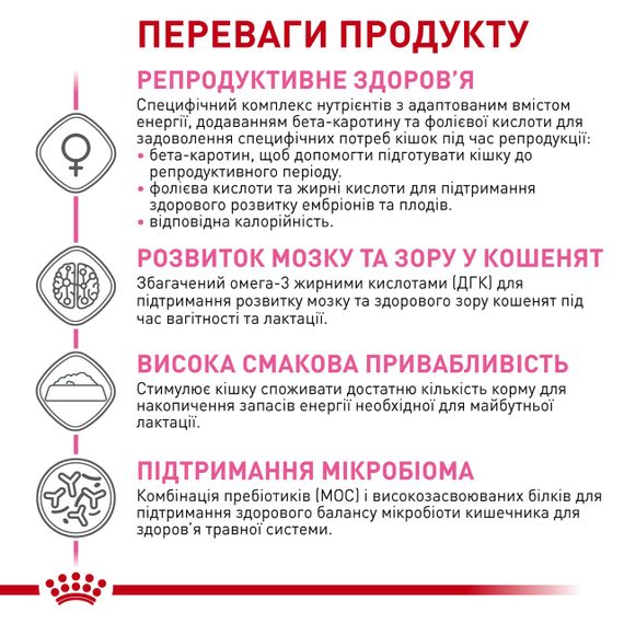 Сухий корм для вагітних кішок Royal Canin Queen, 4 кг | Зображення 3