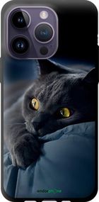 Чохол на iPhone 14 Pro Max Димчастий кіт "825b-2667-2448"