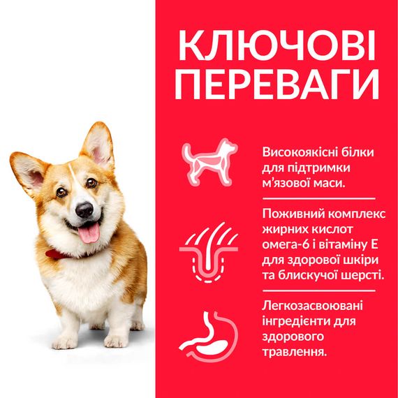 Корм Hill's Science Plan Canine Adult Small & Miniature Chicken сухий з куркою для собак малих порід 6 кг | Зображення 1