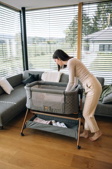 Приліжкове ліжечко та стільчик для дитини Nest & Feed 2 в 1 FreeON, grey (Від народження) | Зображення 6