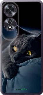 Чохол на Oppo A60 4G Димчастий кіт "825u-3702-2448"
