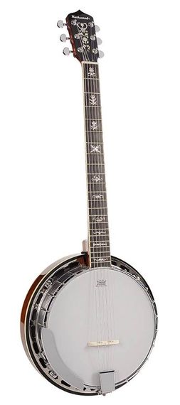 Банджо Richwood RMB-906