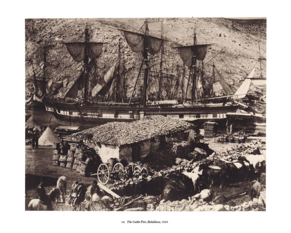 Книги про историю фотографии Roger Fenton: All the Mighty World Б/У альбомы известных фотографов Роджер Фентон | Зображення 8