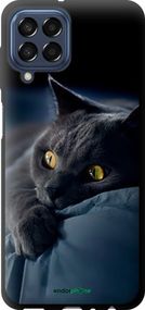Чохол на Samsung Galaxy M33 M336B Димчастий кіт "825b-2633-2448"