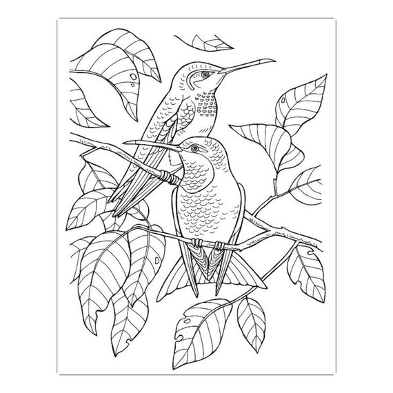 Велика книга розмальовок "Дівчата та квіти" 1736004, 64 сторінки | Зображення 4