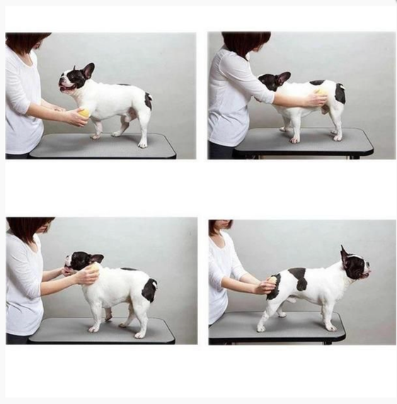 Силиконовая щетка для короткой шерсти Doggy Man Honey Smile Smile розмір 7,5x4 см | Зображення 3