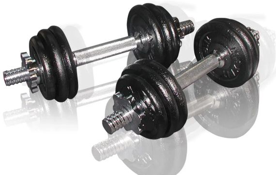 Гантелі збірні Toorx 15 кг з кейсом (VAL-15DGN) | Зображення 1