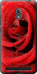 Чехол на Asus ZenFone 6 A600CG Красная роза "529u-143-17620"