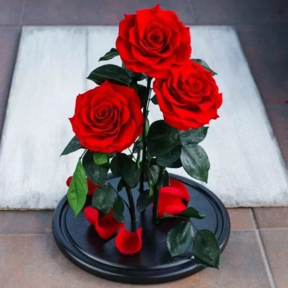 Троянди в колбі для декору, Декоративні троянди в скляній колбі   знижка | Зображення 6