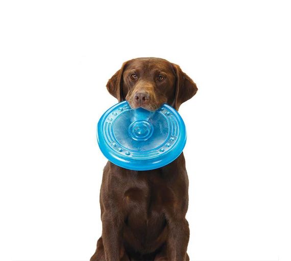 Іграшка для собак OutwardHound Petstages Orka Flyer Pet синя, 22.5 см | Зображення 1