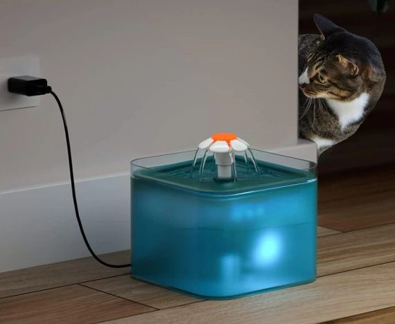 Питний фонтанчик для кішок AONBOY, підходить для маленьких собак, Фонтан для води для котів | Зображення 3