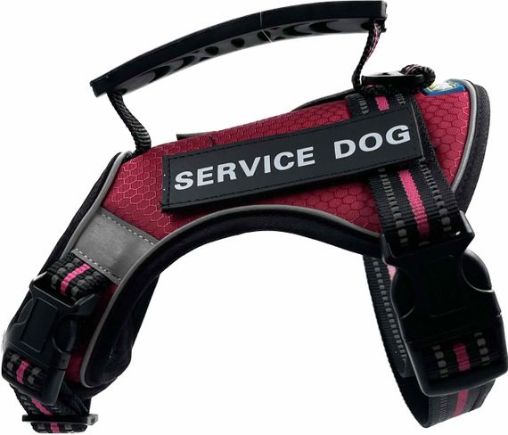 Шлейка для собак Service Dog S, M, L, XL, Бордовая, Шлей для собак, Нагрудник для средних пород | Зображення 2