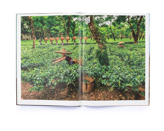 Книги знаменитих фотографів Стів МакКаррі Steve McCurry:In Search of Elsewhere подарункові книги для фотографів | Зображення 9