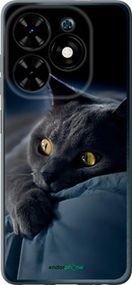 Чохол на Tecno Spark Go 2024 Димчастий кіт "825u-3432-2448"