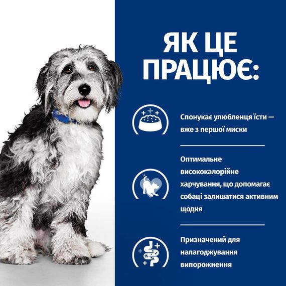 Hill’s Prescription Diet ON-Care Сухий корм для собак, для підтримки у період реабілітації, при виснаженні, вт | Зображення 3