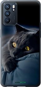 Чохол на Oppo Reno6 5G Димчастий кіт "825u-2651-2448"
