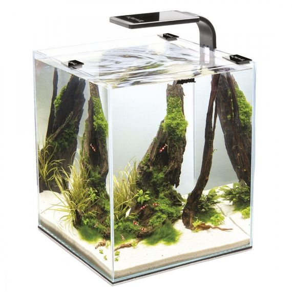 Акваріум Aquael Smart Day Night для креветок чорний прямий 30 л