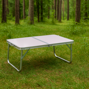 Стіл туристичний Chomik Garden Line HOLMEN 60x40x26,5см складаний білий