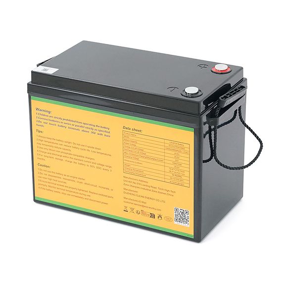 Акумуляторна батарея Eco-Worthy LiFePO4 25,6V 100 Ah, (80/100A), -7 °C до 60 °C, гвинт M8, 340*188*245 мм. 18 кг | Зображення 1