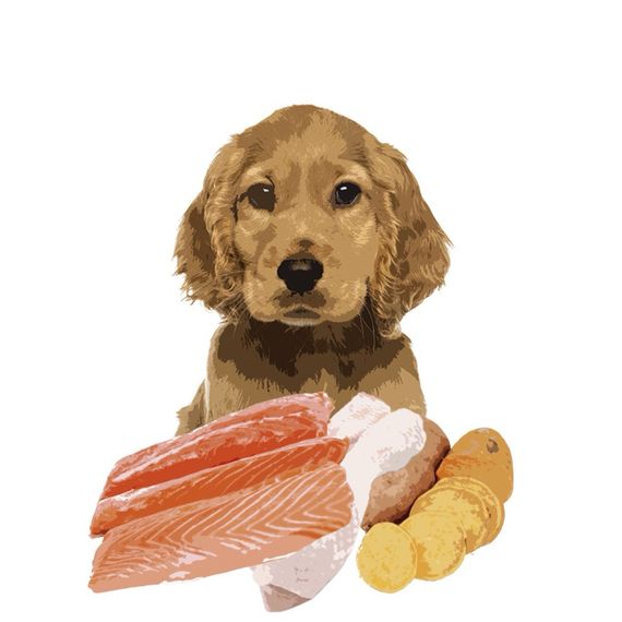 Напіввологий корм для щенят з лососем Orygo Puppies, 3.6 кг | Зображення 1