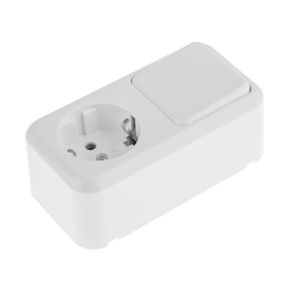 Выключатель одноклавишный + розетка с заземлением RB-1V+1RW