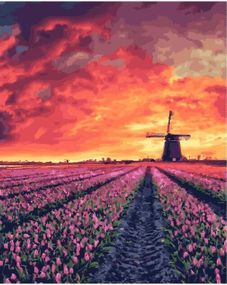 Закат над полем Амстердама