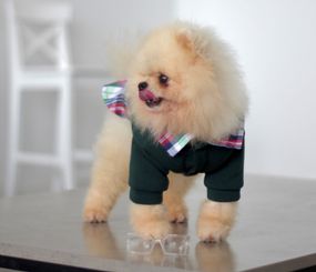 Толстовка з сорочкою смарагд Y-295